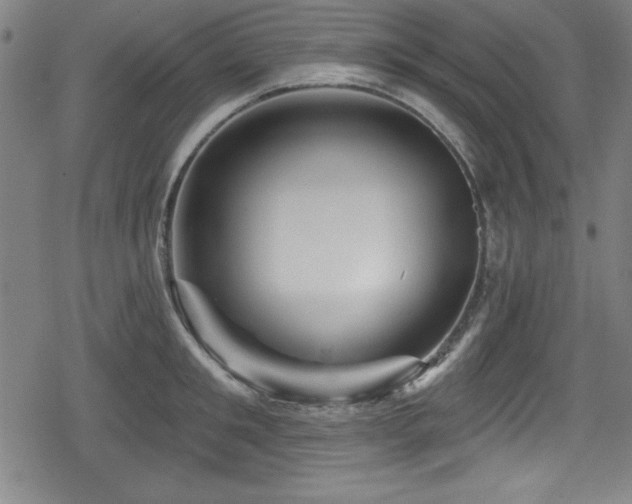 X0000078890901200611131227