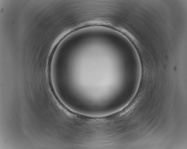 X0000078890902200611131227