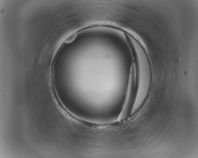 X0000078890903200611131227