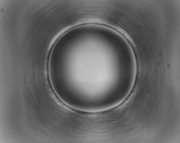 X0000078890904200611131227