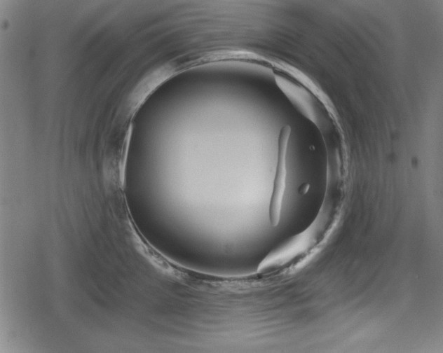 X0000078890905200611131227