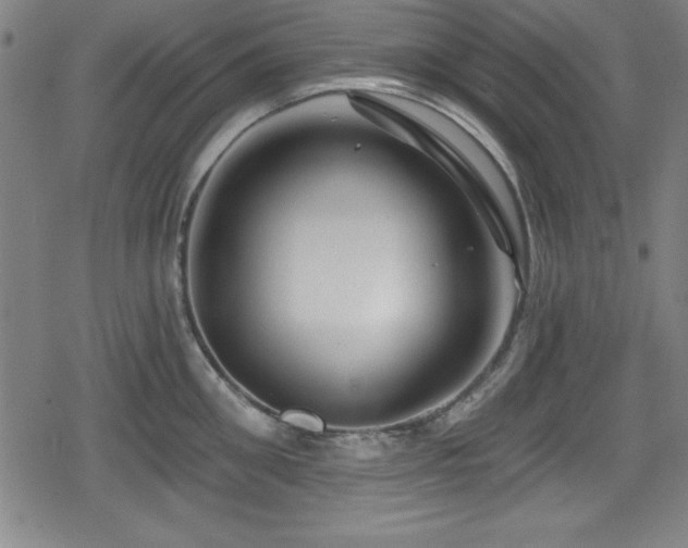 X0000078890906200611131227