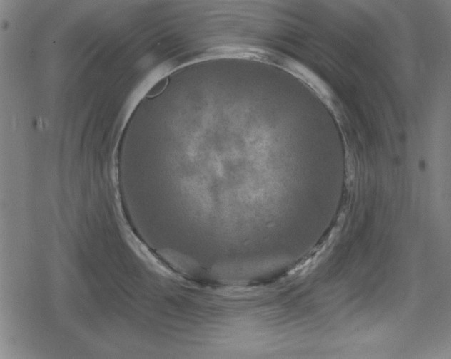 X0000078890907200611131227