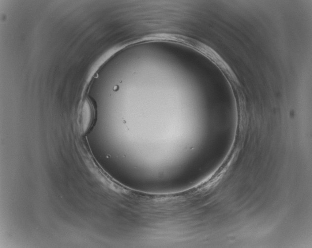 X0000078890908200611131227