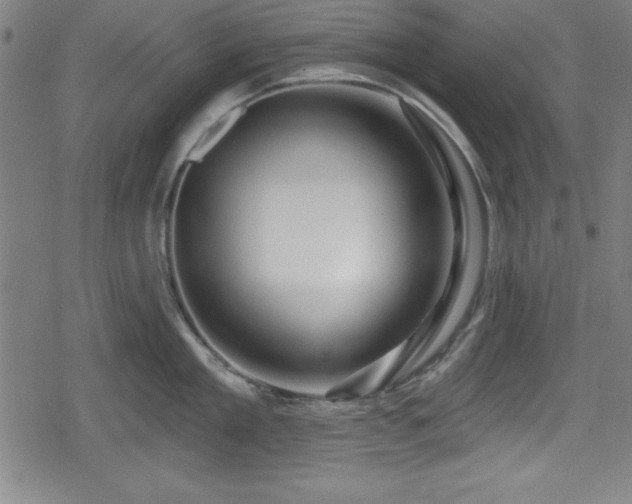 X0000078890909200611131227