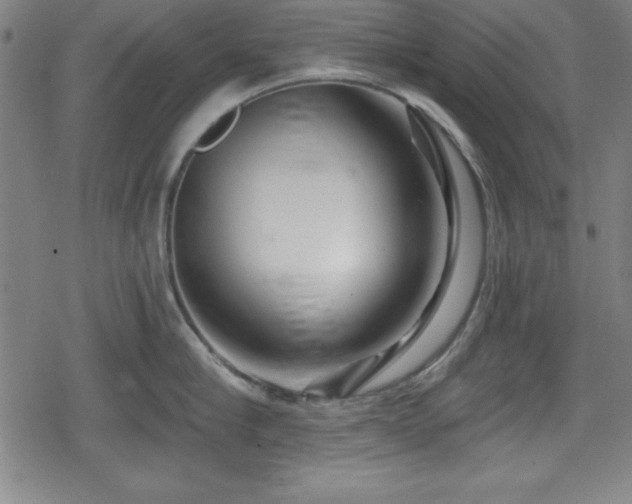 X0000078890910200611131227