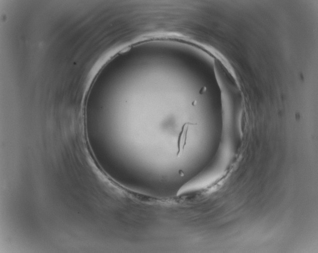 X0000078890911200611131227