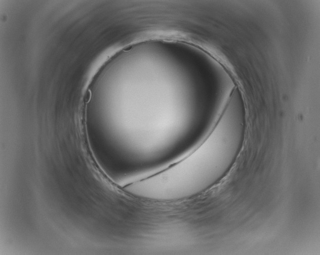 X0000078890912200611131227