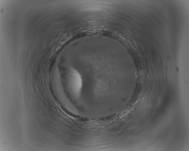 X0000078890913200611131226