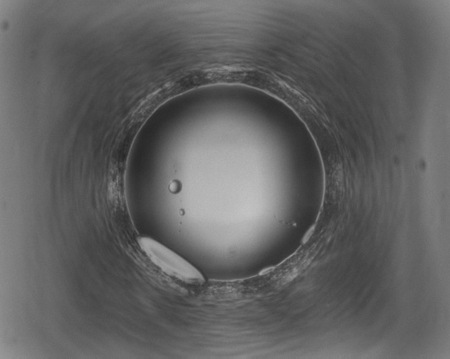 X0000078890914200611131226