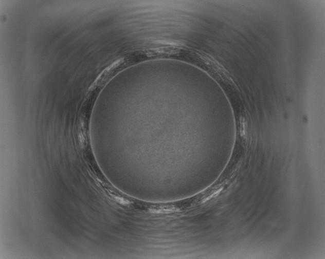 X0000078890915200611131226