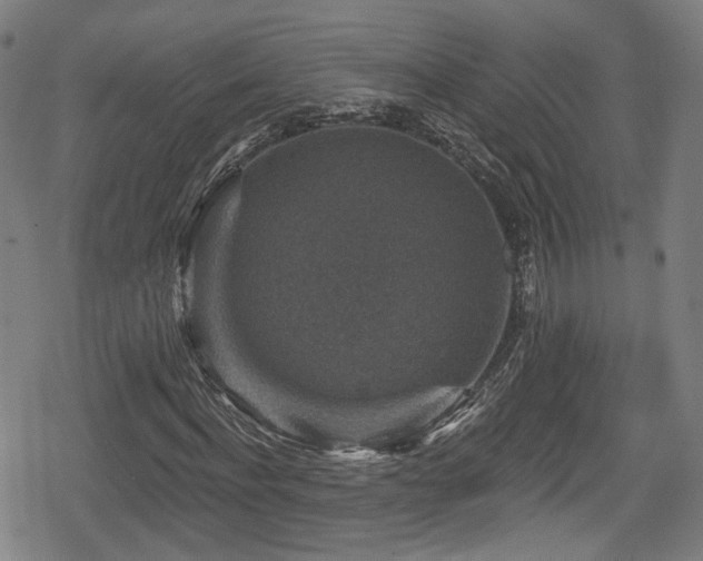 X0000078890916200611131226