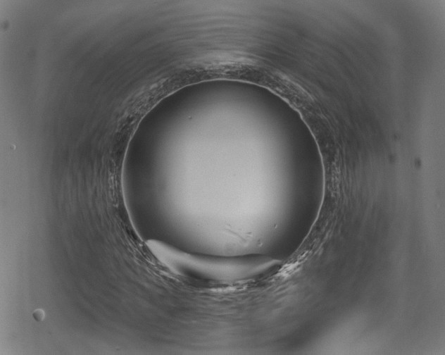 X0000078890917200611131226