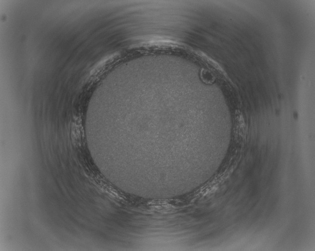 X0000078890918200611131226