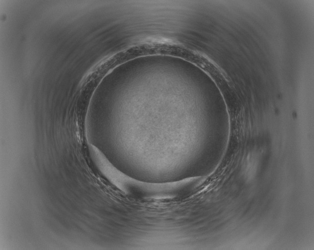 X0000078890919200611131226