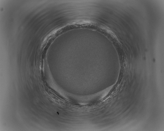 X0000078890920200611131226