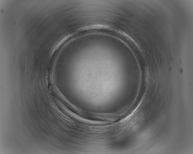 X0000078890921200611131226