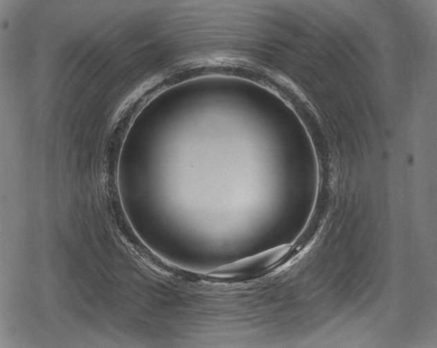 X0000078890922200611131226