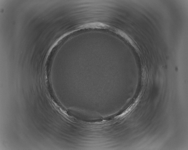 X0000078890923200611131226