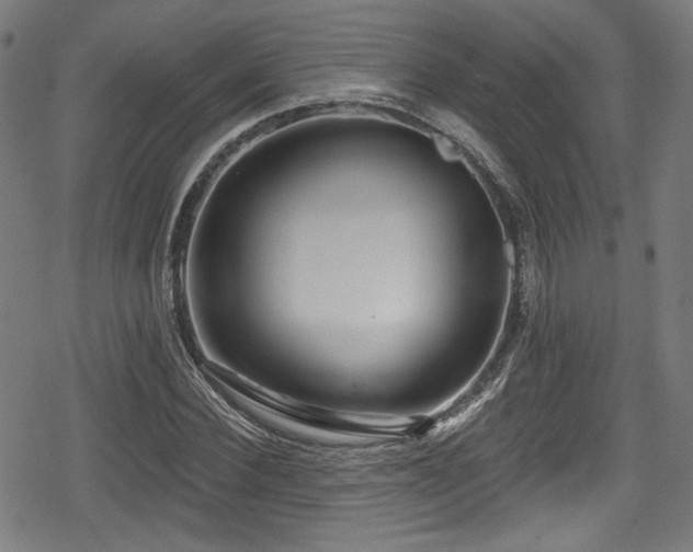 X0000078890924200611131226