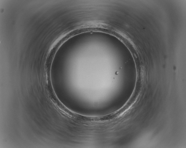 X0000078890925200611131226