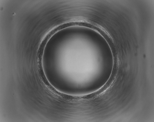 X0000078890926200611131226