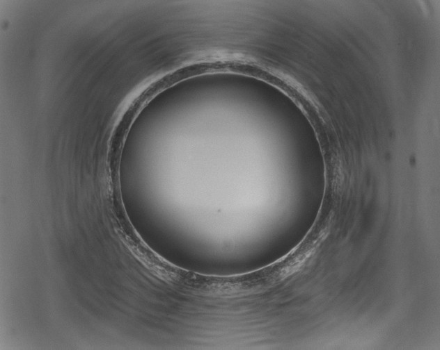 X0000078890927200611131226