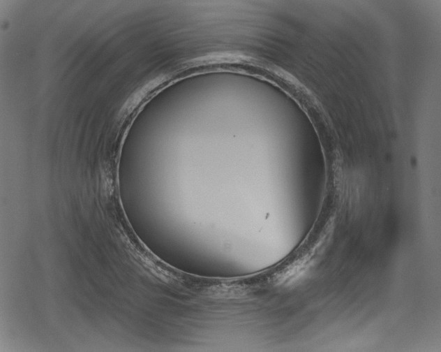 X0000078890929200611131226