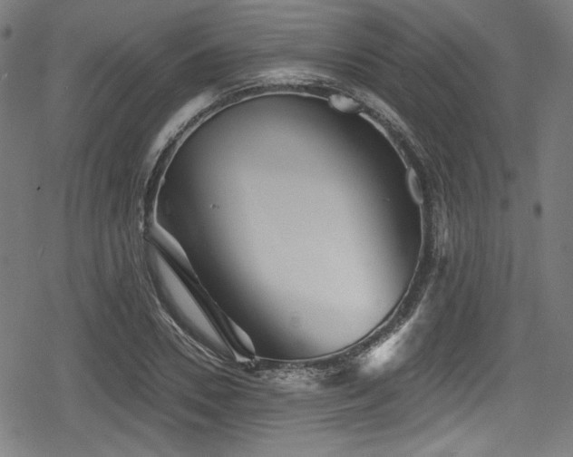 X0000078890930200611131226