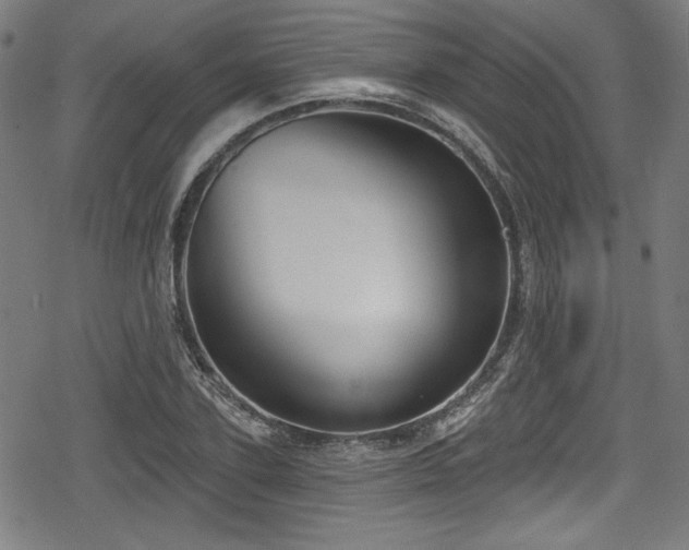 X0000078890931200611131226