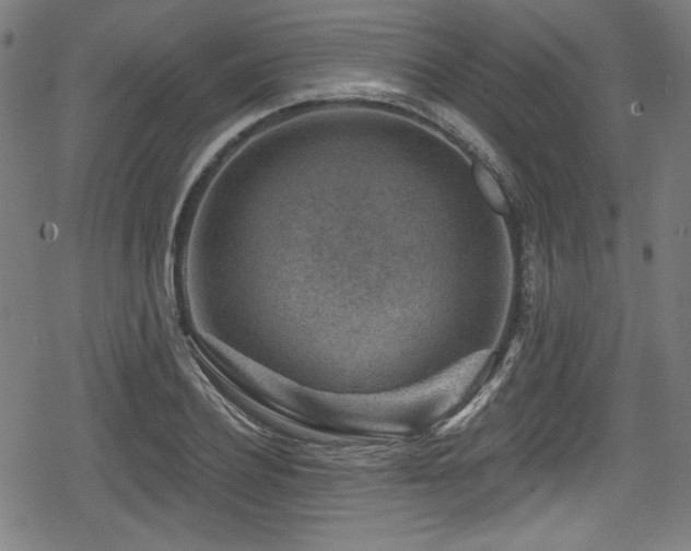 X0000078890932200611131226