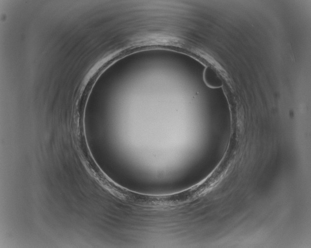 X0000078890933200611131226