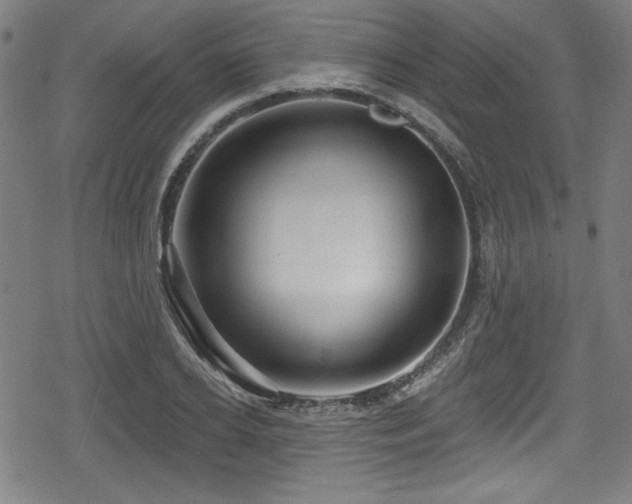 X0000078890934200611131226