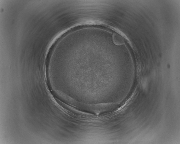 X0000078890935200611131226