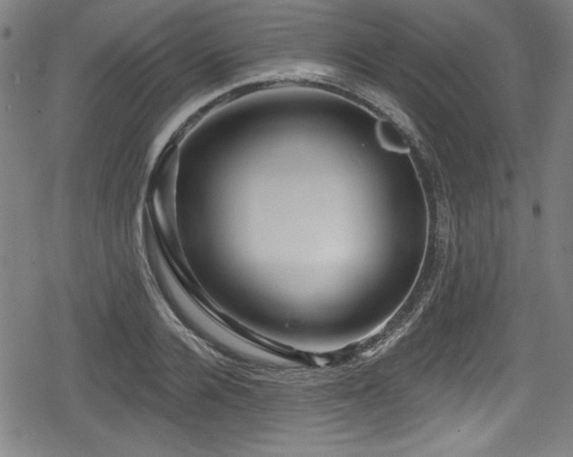 X0000078890936200611131226