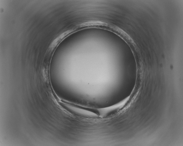 X0000078890937200611131226