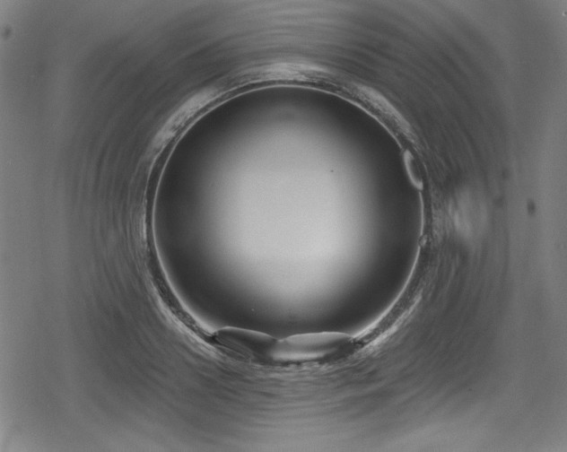 X0000078890938200611131226