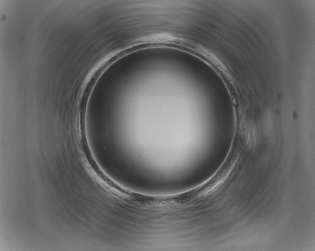 X0000078890939200611131226