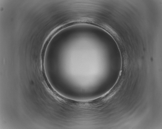 X0000078890940200611131226