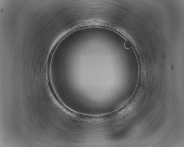 X0000078890941200611131226