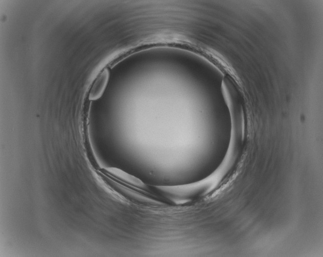 X0000078890942200611131226