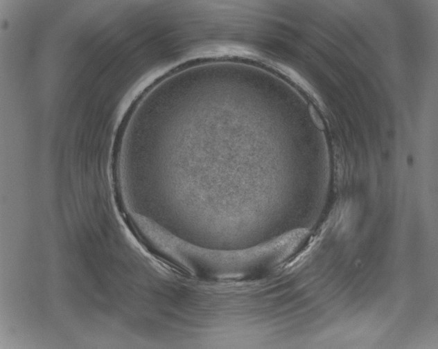 X0000078890943200611131226