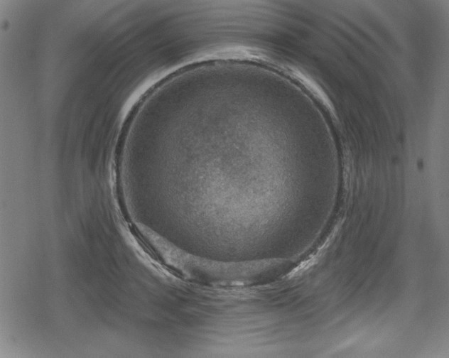 X0000078890944200611131226