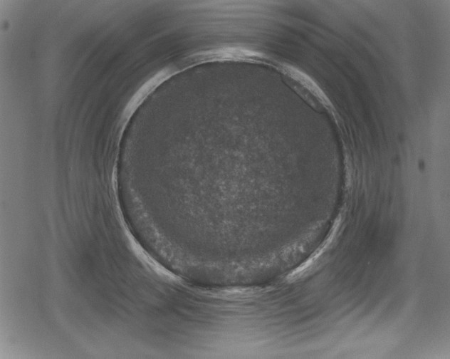 X0000078890946200611131226