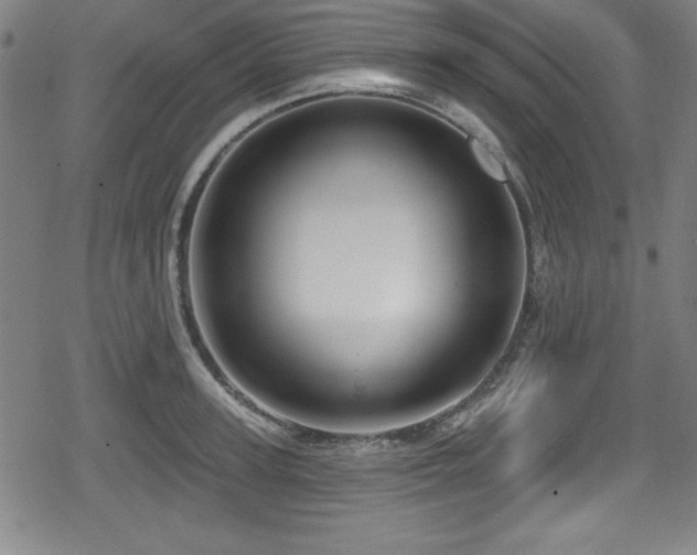 X0000078890947200611131226