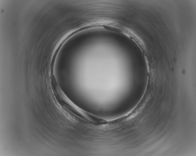 X0000078890948200611131226