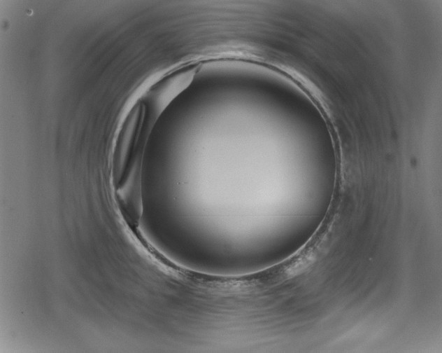 X0000078890949200611131226