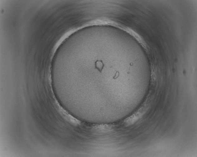 X0000078890950200611131226