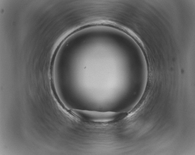 X0000078890951200611131226