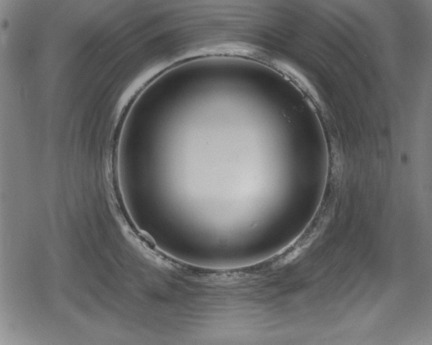 X0000078890952200611131226